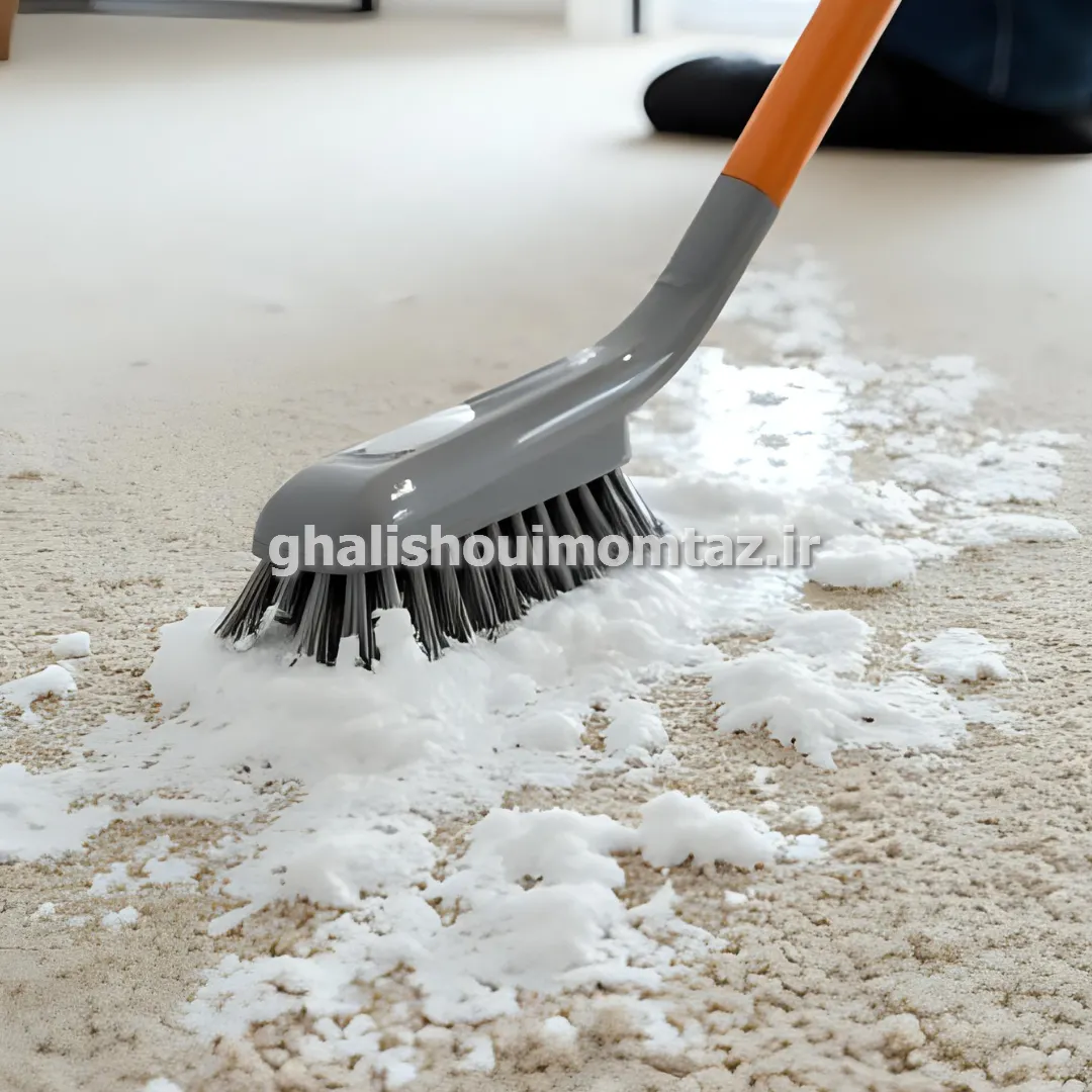 قالیشویی قالی و موکت در اندیشه